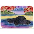 Skilledpower Curly Coated Retriever Mouse Pad; Hot Pad & Trivet SK232505